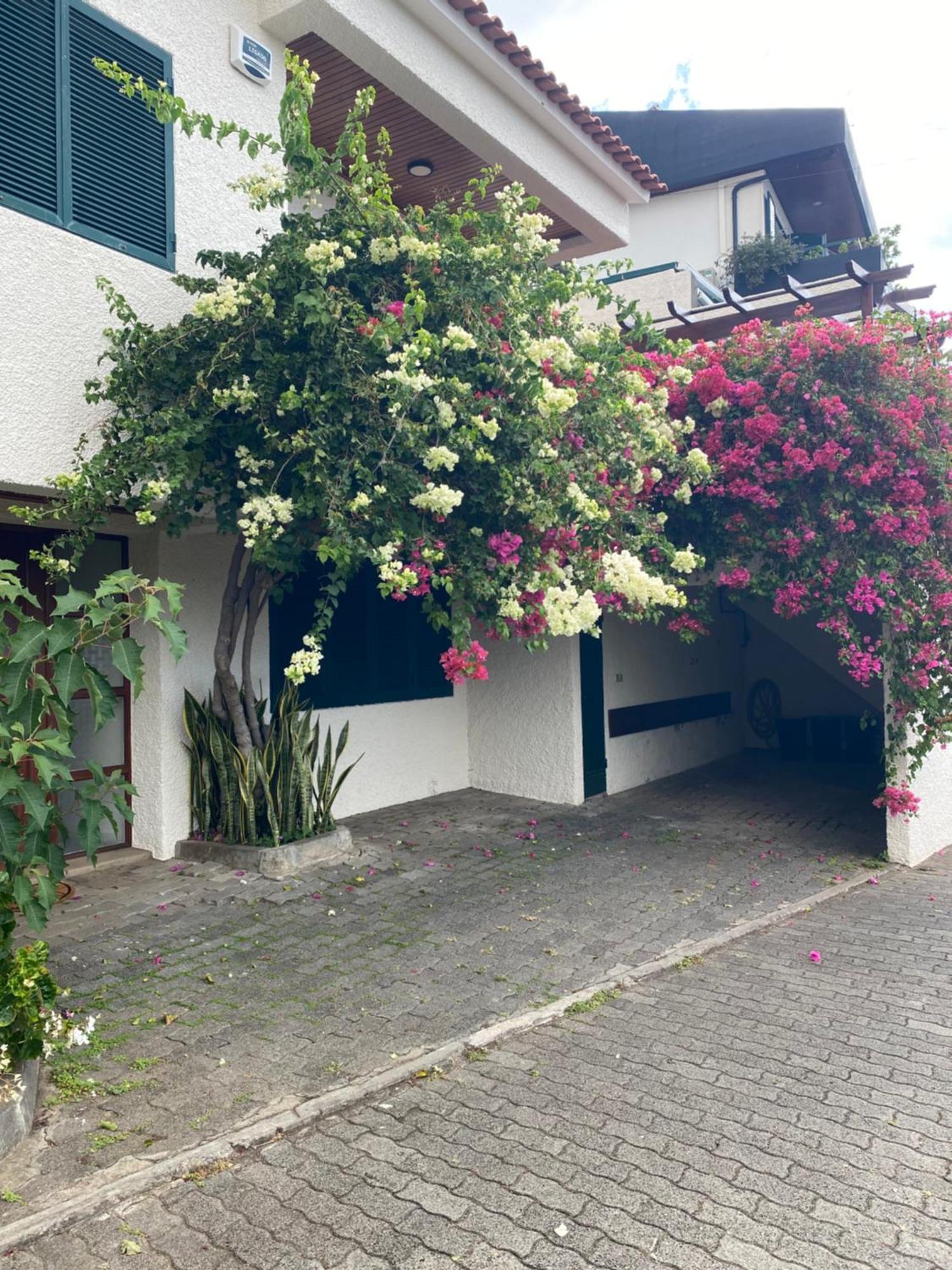 Casa Ideal Para Familias Com Vista Mar Desafogada Φουνκάλ Εξωτερικό φωτογραφία